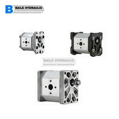 Pompy zębate MARZOCCHI Seria ALP1 ALP1A-D-2 ALP1A-D-3 ALP1A-D-4 ALP1A-D-5 ALP1A-D-6 ALP1A-D{{ 18}} ALP1A-D-9