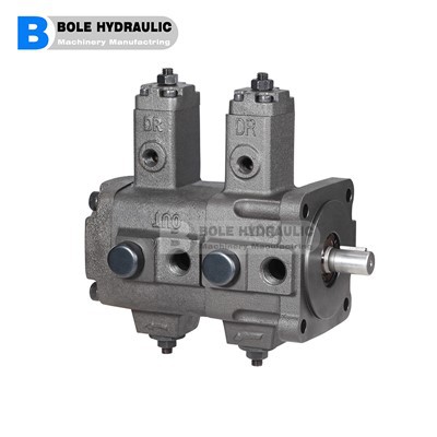 VD1D 1-3030 F-A2 Zmienne pompy Vane Vane